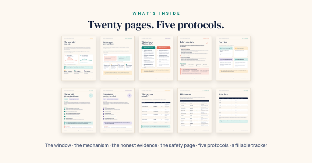 The Post-Meal Movement Protocol — 20-Page Interactive PDF Guide