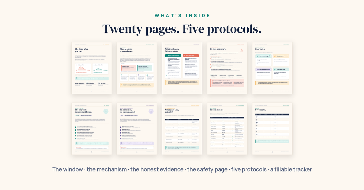 The Post-Meal Movement Protocol — 20-Page Interactive PDF Guide