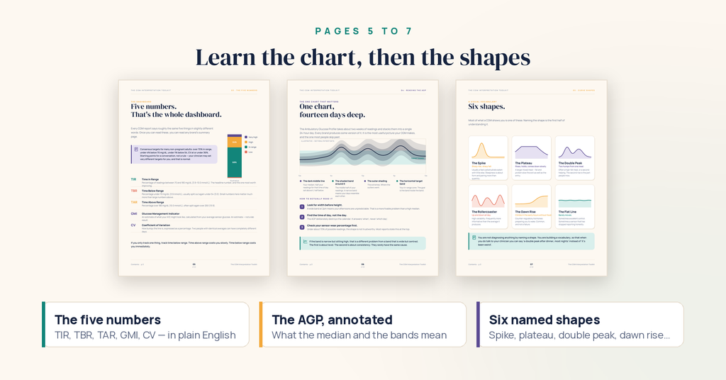 The CGM Interpretation Toolkit — 22-Page Interactive PDF Guide