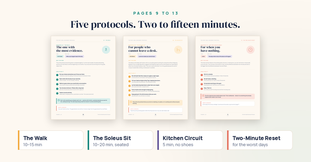 The Post-Meal Movement Protocol — 20-Page Interactive PDF Guide